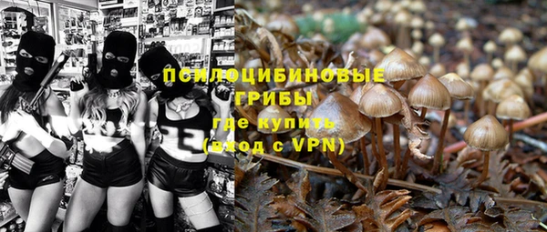 круглые Алзамай