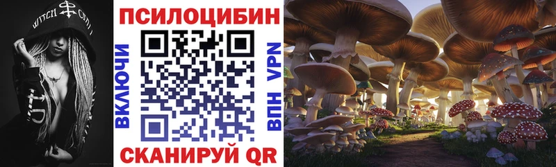 Псилоцибиновые грибы Cubensis  Купить где  Абинск 